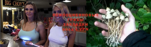 твердый Абаза