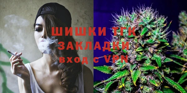 твердый Абаза